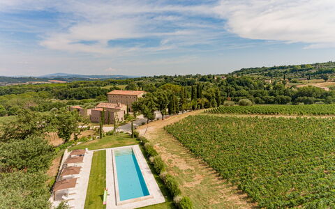 Poggio Mori 20: Landscape, Rural Area, Land Lot, Plantation, Plain, Agriculture, Estate, Field, Farm, Meadow