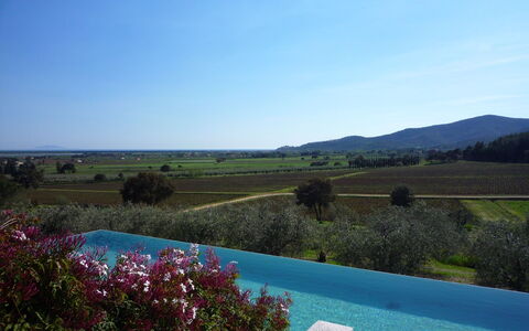 Castelprile: Blue, Swimming Pool, Estate, Farmhouse, Plantation, Landscaping, Eco Hotel, Hacienda, Villa, Resort