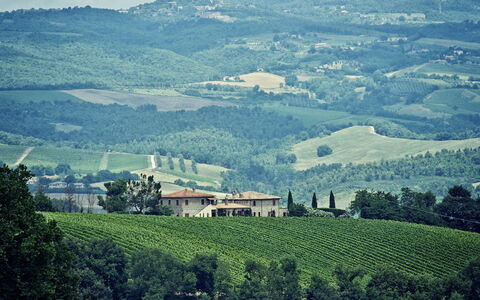 Selvamica: Hill, Natural Landscape, Highland, Horizon, Grassland, Landscape, Agriculture, Rural Area, Field, Plantation