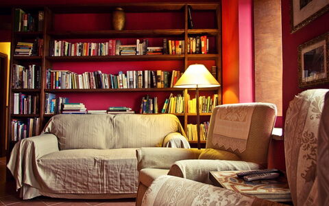 Selvamica: Furniture, Interior Design, Bookcase, Flooring, Red, Shelving, Wood, Shelf, Floor, Living Room