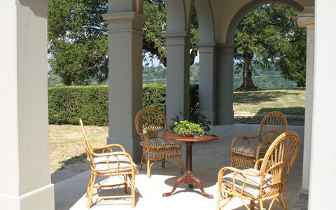 Martini: Furniture, Outdoor Furniture, Chair, Column, Shade, Garden, Flowerpot, Outdoor Table, Porch