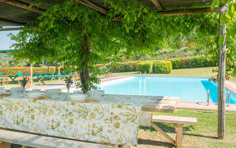 Martini: Shade, Garden, Swimming Pool, Eco Hotel, Hacienda, Outdoor Furniture, Resort, Backyard, Plantation, Outdoor Structure