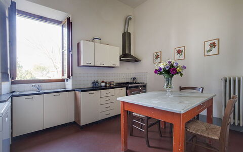 Martini: Flooring, Kitchen, Interior Design, Kitchen Appliance, Furniture, Countertop, Cabinetry, Home, Floor, Major Appliance