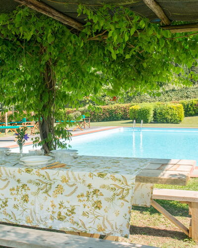 Martini: Shade, Garden, Swimming Pool, Eco Hotel, Hacienda, Outdoor Furniture, Resort, Backyard, Plantation, Outdoor Structure