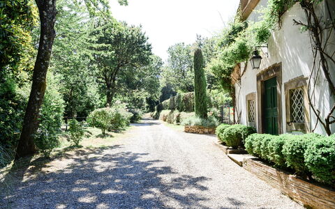 Fattoria: Shrub, Garden, Driveway, Landscaping, Shade, Walkway, Botanical Garden, Hedge, Plantation, Trail