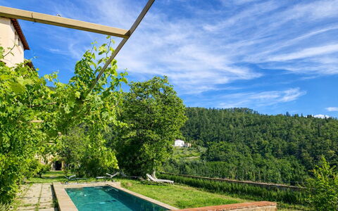 Villa Il Casalino, Florentine Hills with Pool: Hill Station, Eco Hotel, Swimming Pool, Farmhouse, Plantation, Backyard