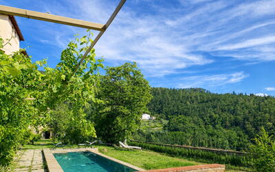 Villa Il Casalino, Florentine Hills with Pool: Hill Station, Eco Hotel, Swimming Pool, Farmhouse, Plantation, Backyard