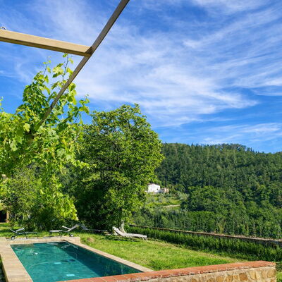 Villa Il Casalino, Florentine Hills with Pool: Hill Station, Eco Hotel, Swimming Pool, Farmhouse, Plantation, Backyard