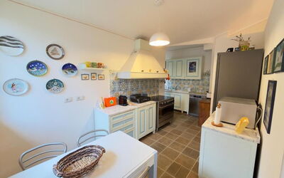 Villa Montepulciano Vineyard