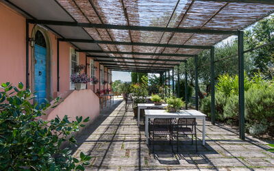 Accommodation:&nbsp;Vite