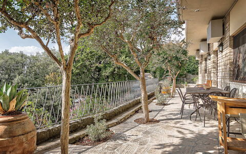 Cortona Deluxe: Shade, Outdoor Furniture, Flagstone, Flowerpot, Chair, Houseplant, Porch, Fence, Balcony, Backyard