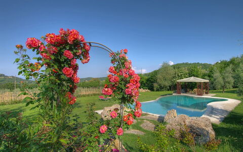 Villa Incanto: Flower, Shrub, Garden, Petal, Spring, Flowering Plant, Rose Family, Garden Roses, Landscaping, Plantation