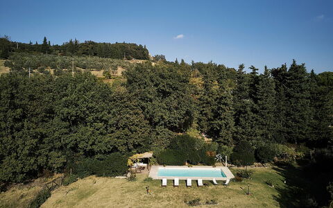 Villa Novellina: Leisure, Recreation, Swimming Pool, Vacation, Evergreen, Plantation, Pine Family, Eco Hotel