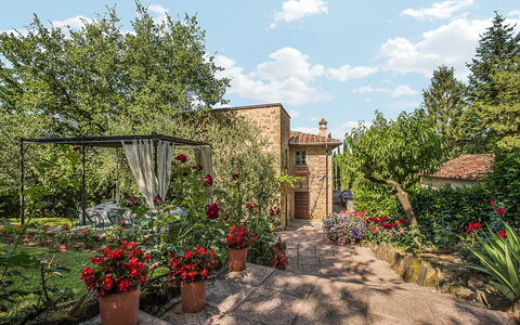 Villa Panorama: Shrub, Garden, Spring, Flowerpot, Backyard, Landscaping, Yard, Brick, Houseplant