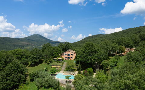 Villa la Foresta: Hill, Natural Landscape, Mountain, Landscape, Highland, Rural Area, Hill Station, Human Settlement, Mountain Range, Estate