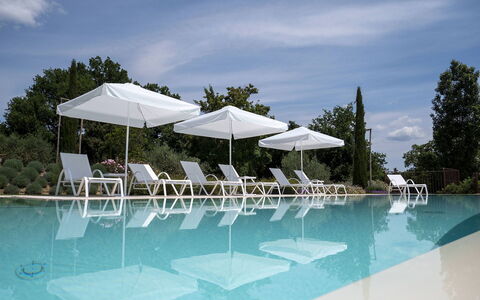Villa Ripa: Swimming Pool, Outdoor Furniture, Furniture, Resort, Sunlounger, Chair, Eco Hotel, Shade, Umbrella, Resort Town