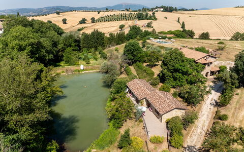 Il Giuncheto, Pool, Amazing View, Umbrian Countrys: Tree, House, Rural Area, Landscape, Home, Land Lot, Human Settlement, Cottage, Estate