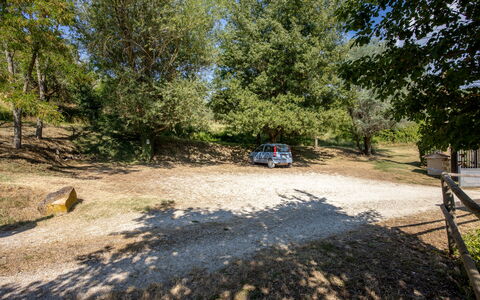 Il Giuncheto, Pool, Amazing View, Umbrian Countrys: Tree, Trail, Soil, Family Car, Parking, Driveway, Shade
