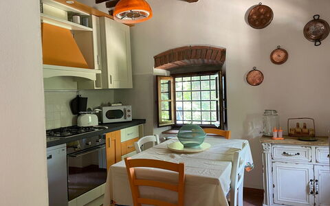 Borgo Antico, Pool, Barberino del Mugello: Furniture, Interior Design, Kitchen, Wood, Kitchen Appliance, Flooring, Ceiling, Countertop, Room, Light Fixture