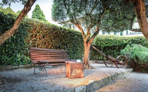 Loft Borgo Syrah: Shrub, Garden, Outdoor Bench, Spring, Shade, Outdoor Furniture, Landscaping, Bench, Hedge, Shadow