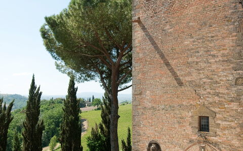 Castello di Cabbiavoli: Wall, Architecture, Shrub, Brick, Brickwork, Landscaping, Stone Wall, Estate, Garden, Hedge