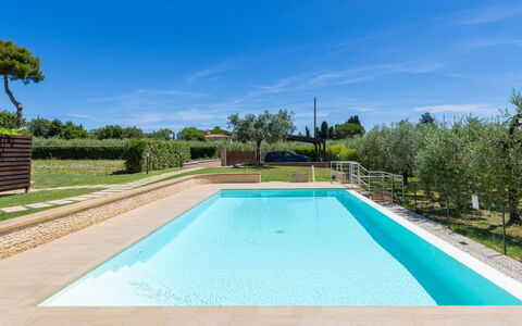 Rose Adriano Home: Blue, Swimming Pool, Composite Material, Garden, Shade, Landscaping, Resort, Hacienda, Water Feature, Tile