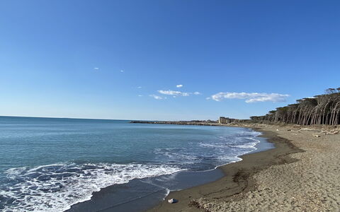 Rose Adriano Home: Blue, Water, Beach, Body Of Water, Water Resources, Natural Environment, Coast, Horizon, Shore