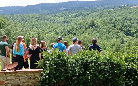 Villa Campo al Vento - Country Farm: Natural Environment, Nature, Leaf, Summer, Recreation, Hill, Landscape, Leisure, Plant Community, Spring