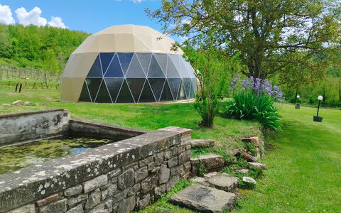 Villa Campo al Vento - Country Farm: Grass, Dome, Dome, Garden, Meadow, Landscaping, Botanical Garden, Park, Plantation