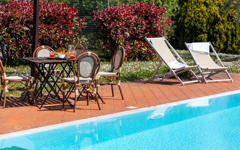 Il Leccio, Vinci, Private Pool and Tennis: Swimming Pool, Outdoor Furniture, Resort, Furniture, Eco Hotel, Shade, Chair, Sunlounger, Flowerpot, Houseplant