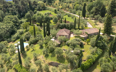 La Sorgente: Natural Environment, Vegetation, Shrub, Landscape, Plant Community, Land Lot, Rural Area, Groundcover, Forest, Hill Station