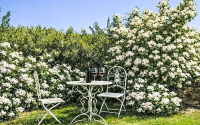 Accommodation:&nbsp;Le Mangiatoie 985.2