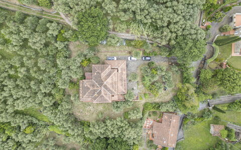 Villa Golly: Landscape, Estate, Aerial Photography, Village, Plantation, Bird'S-Eye View, Jungle, Mansion, Chaparral
