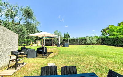 Scarlino 35: Blue, Grass, Land Lot, Garden, Lawn, Shade, Landscaping, Yard, Park, Artificial Turf