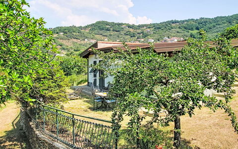 La Casa di Menny: Furniture, Outdoor Furniture, Chair, Garden, Wood Stain, Lawn, Hardwood, Shade, Backyard