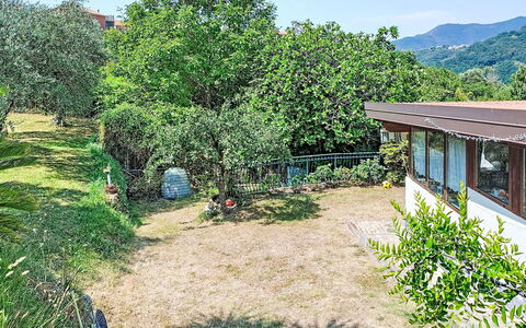 La Casa di Menny: Furniture, Outdoor Furniture, Chair, Garden, Wood Stain, Lawn, Hardwood, Shade, Backyard