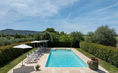Il Cipresso, Casa Martina, Cortona: Swimming Pool, Garden, Resort, Composite Material, Outdoor Furniture, Landscaping, Shade, Estate, Hacienda, Eco Hotel