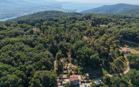 La Rustica: Natural Environment, Vegetation, Landscape, Plant Community, Forest, Hill Station, Bird'S-Eye View, Jungle, Aerial Photography, Village