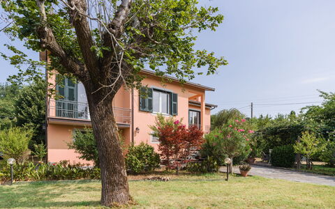 Gli Oleandri di Grazia: Residential Area, House, Shrub, Home, Cottage, Garden, Estate, Suburb, Yard, Lawn