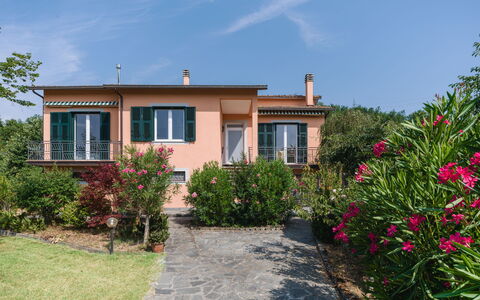 Gli Oleandri di Grazia: Shrub, Home, Garden, Estate, Landscaping, Farmhouse, Villa, Balcony, Hacienda