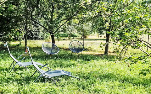 Il Pozzo dei Desideri: Green, Grass, Garden, Lawn, Groundcover, Spring, Trunk, Sunlight, Park