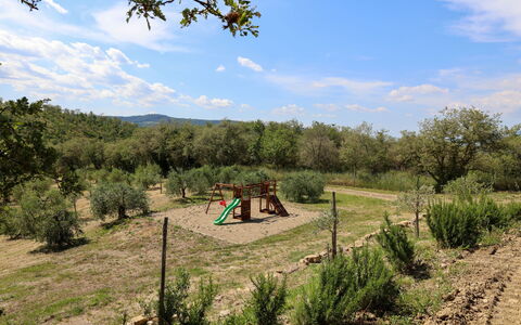 La Calcinaia Country Villa, Bucine: Tree, Vegetation, Landscape, Plant Community, Rural Area, Land Lot, Plain, Soil, Shrubland, Pasture