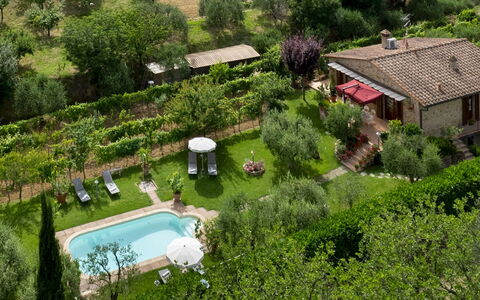 Villa Sorripa 6: Shrub, Garden, Cottage, Backyard, Estate, Landscaping, Farmhouse, Plantation, Yard, Lawn