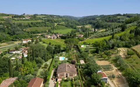 Villa Sorripa 6: Food, Plantation, Agriculture