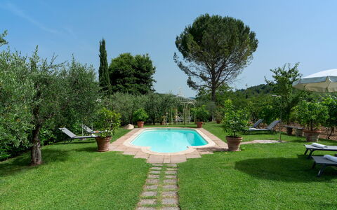 Villa Sorripa 6: Swimming Pool, Outdoor Furniture, Garden, Resort, Backyard, Lawn, Hacienda, Estate, Eco Hotel, Landscaping