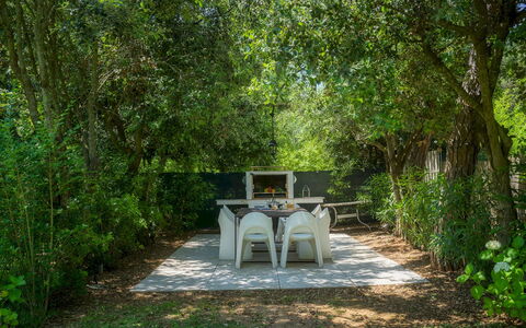 Villa Giomoa 8: Leaf, Nature, Vegetation, Branch, Shrub, Garden, Plant Community, Shade, Spring, Sunlight
