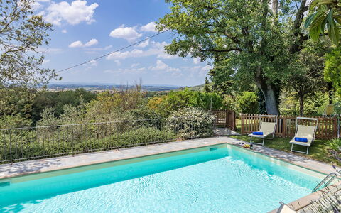 I Mandorli 8: Blue, Swimming Pool, Garden, Shade, Hacienda, Eco Hotel, Estate, Backyard, Villa, Landscaping