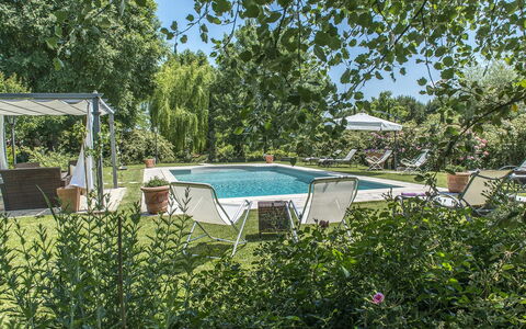 Albachiara 8: Shrub, Outdoor Furniture, Swimming Pool, Garden, Shade, Landscaping, Backyard, Leisure, Chair, Resort
