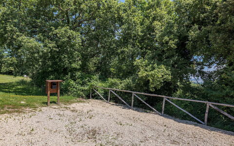 Il Colle di Donna Ilaria 12: Tree, Leaf, Branch, Woody Plant, Trail, Woodland, Soil, Park, Fence, Path