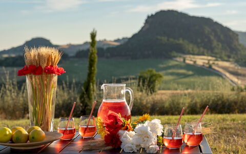 Il Poggiarellone 14: Tableware, Food, Drinkware, Serveware, Ingredient, Barware, Stemware
